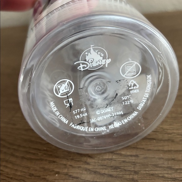 Disney 100 Years of Wonder Mickey & Friends Walt Disney World Water Bottle - Picture 6 of 8
